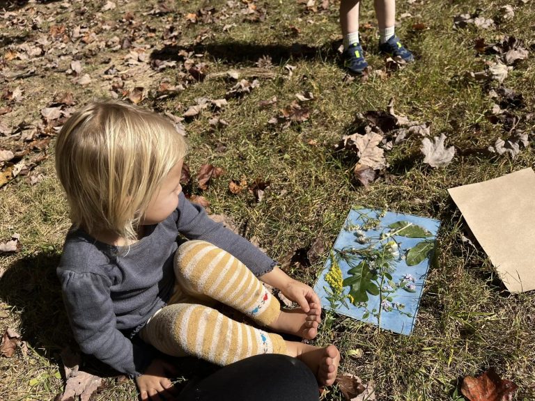 Wilderness Wednesday