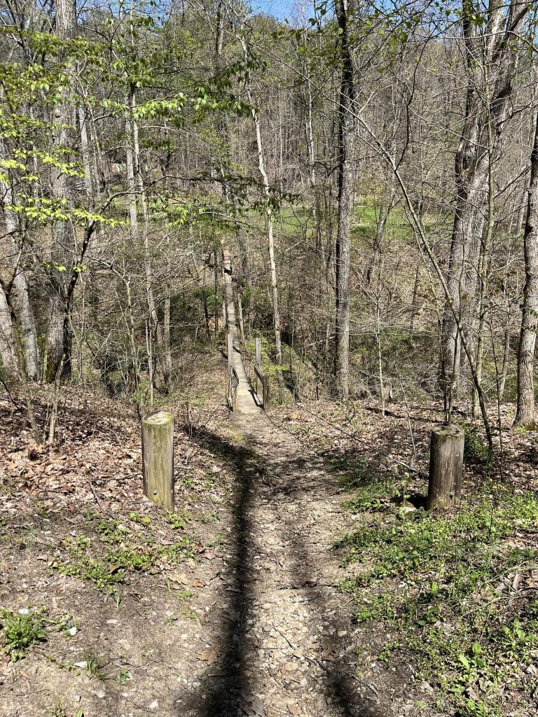 Wilderness Wednesday